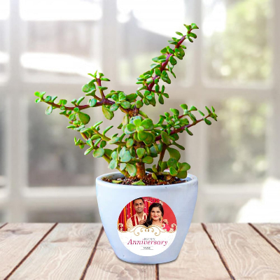 Jade Plant Pot With Personalized Touch