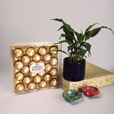 Tempting Ferrero Rocher Peace Lily Plant N Diya