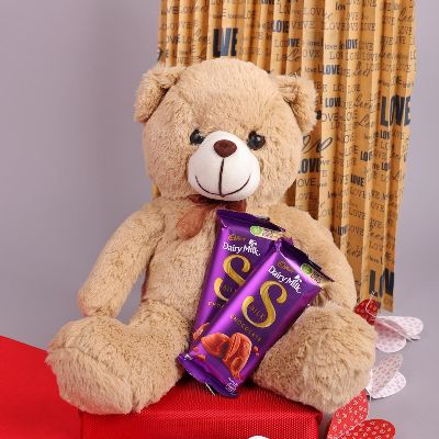 Teddy Choco Combo