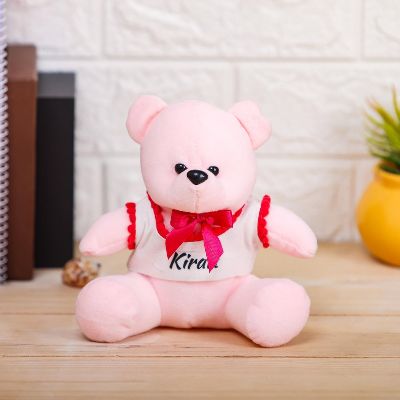Pink Fluffy Personalized Teddy Bear